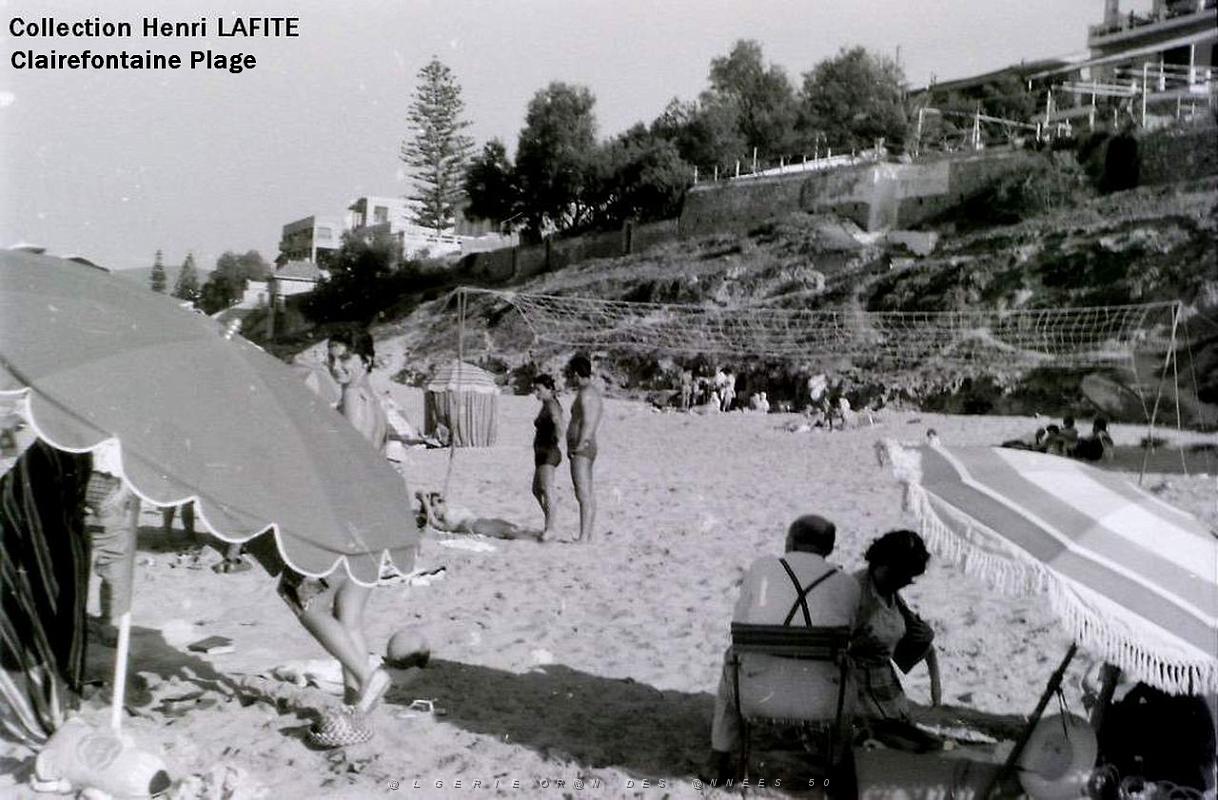 Oran- SDV- 2055- Lafite.JPG